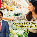Canada $628 Grocery Rebate Confirmed for May 2025