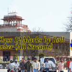 Rajasthan 12th Result 2025 Live: How to Download RBSE Class 12 Marks by Roll Number (All Streams)